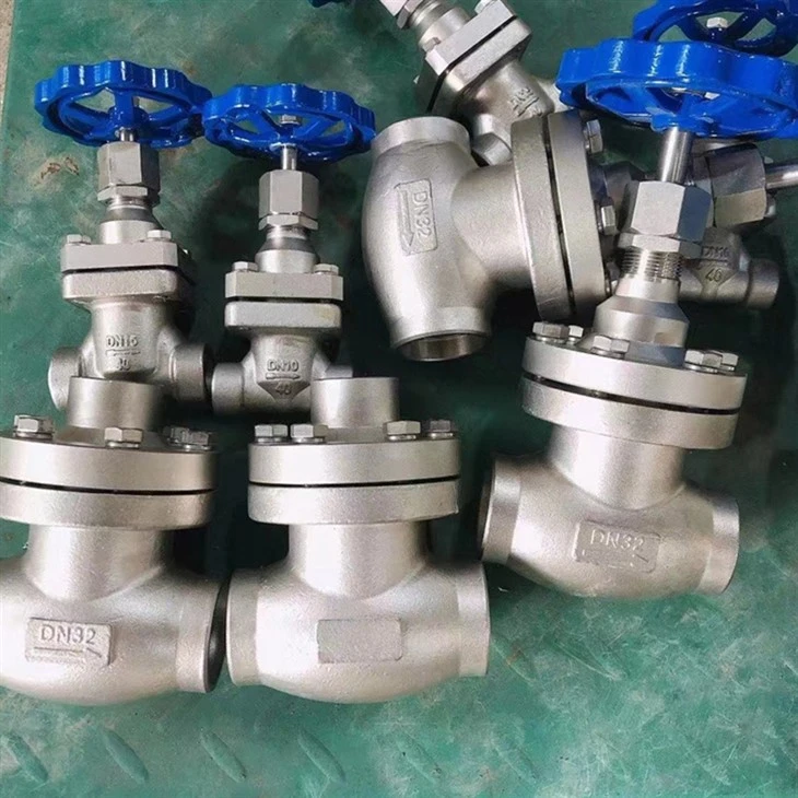 Globe Valve (2)