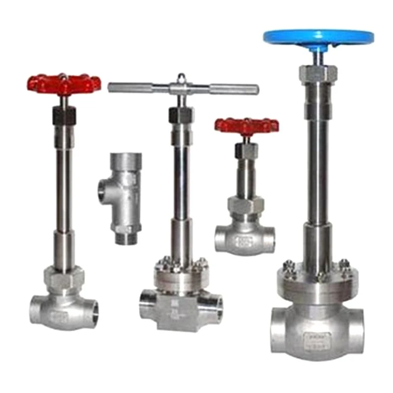 Cryogenic Globe Valve (3)