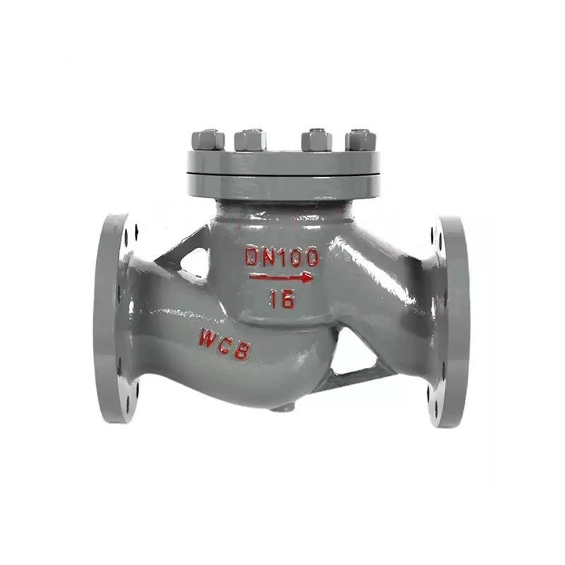 Lift Check Valve